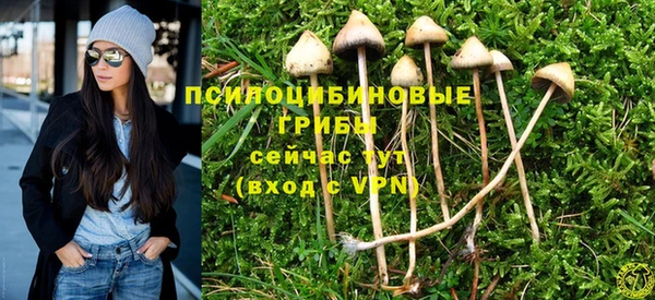герыч Билибино