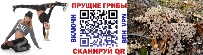 Галлюциногенные грибы Cubensis  где найти наркотики  маркетплейс Telegram  Балахна  KRAKEN сайт 