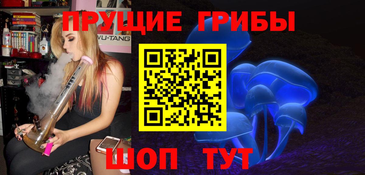 Галлюциногенные грибы Psilocybine cubensis Балахна