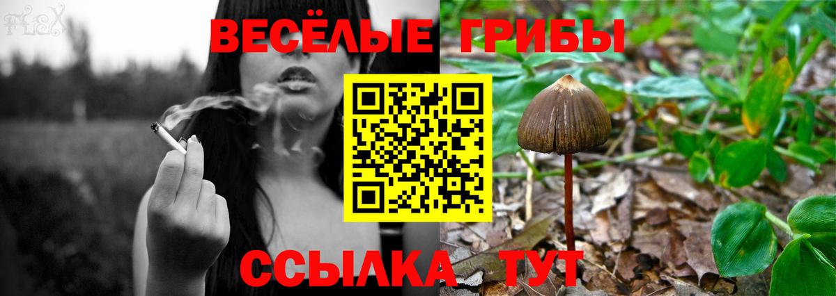 Псилоцибиновые грибы Magic Shrooms  купить  цена  Балахна 
